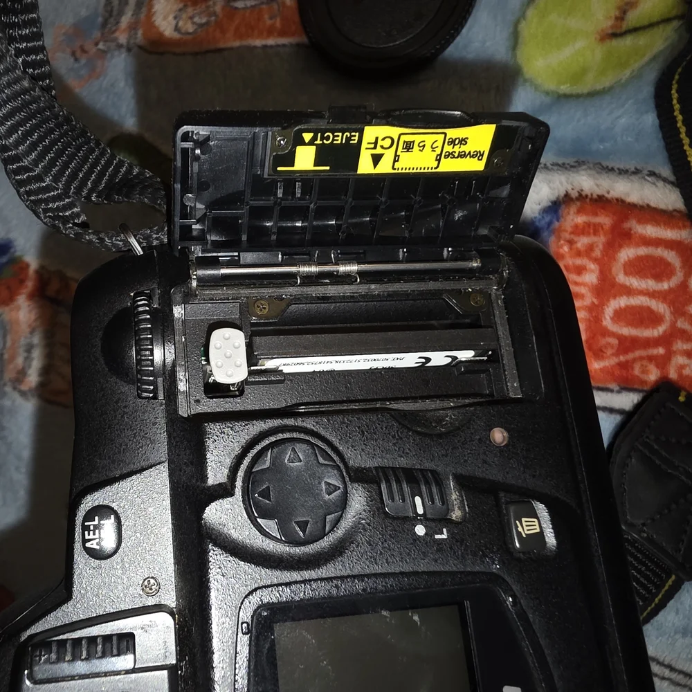 Nikon d70 bold
